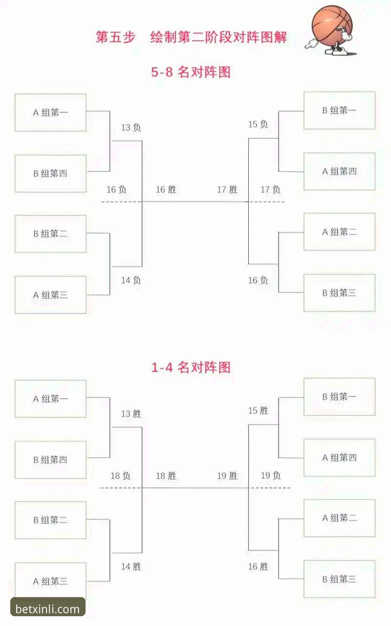 从零到一：资深用户分享新利体育篮球赛程教程实战经验